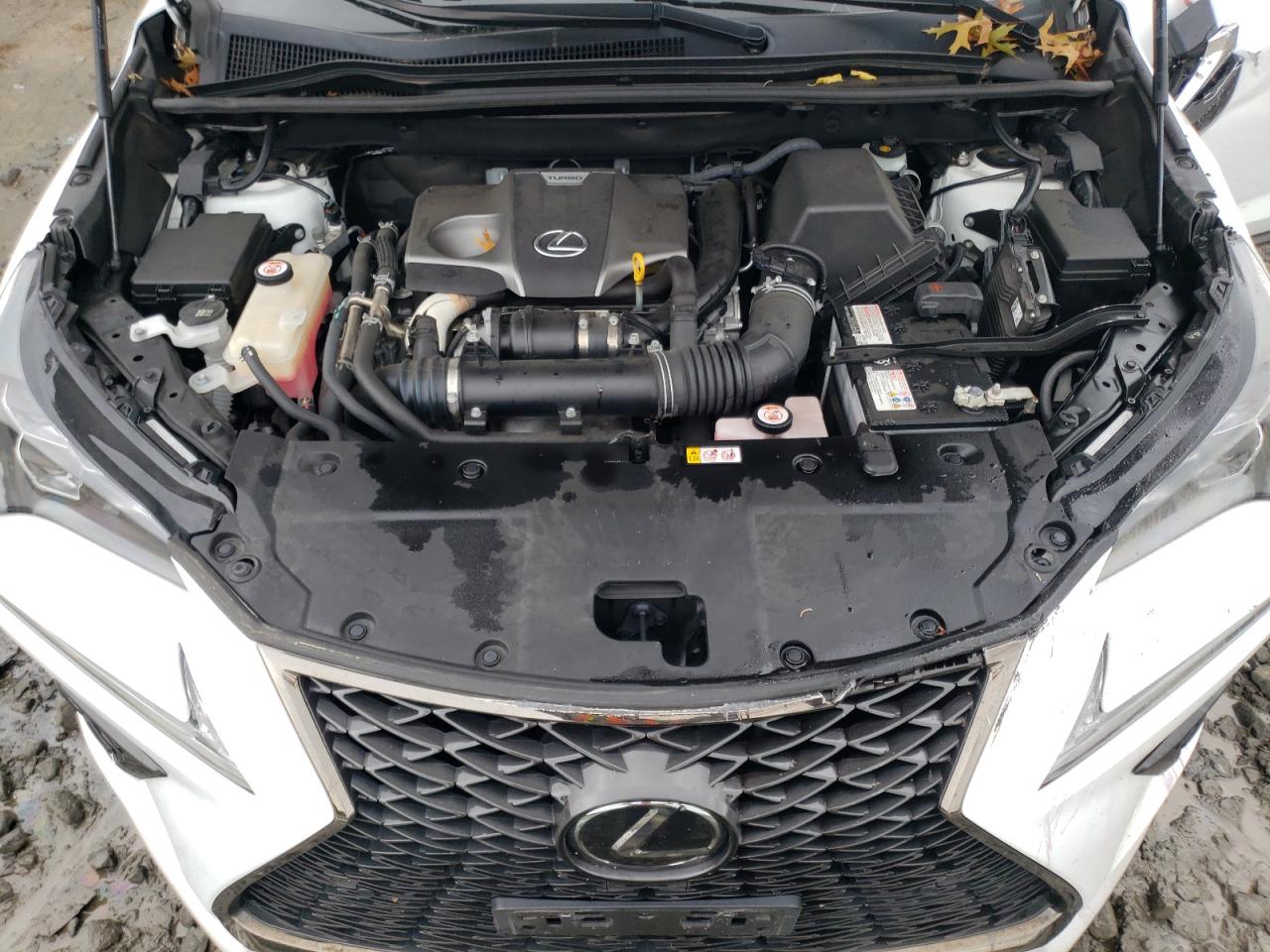 JTJSARDZ9L2226241 2020 Lexus Nx 300 F Sport