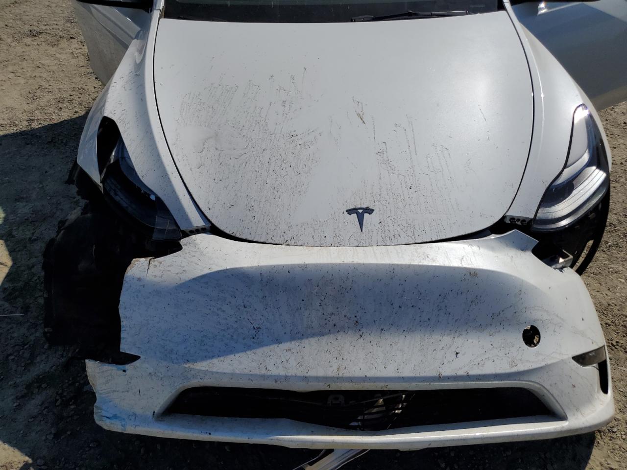 7SAYGDEE6PF873860 2023 Tesla Model Y