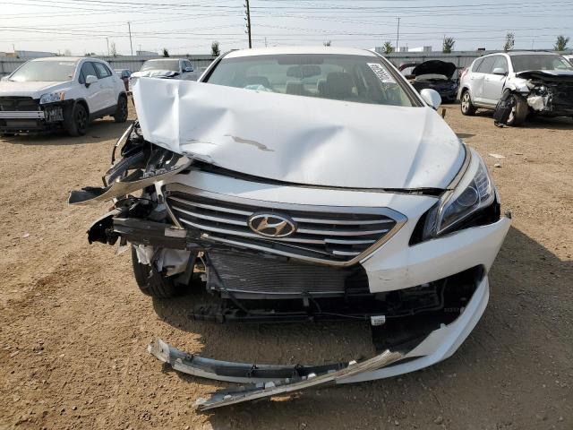 Sedans HYUNDAI SONATA 2016 White