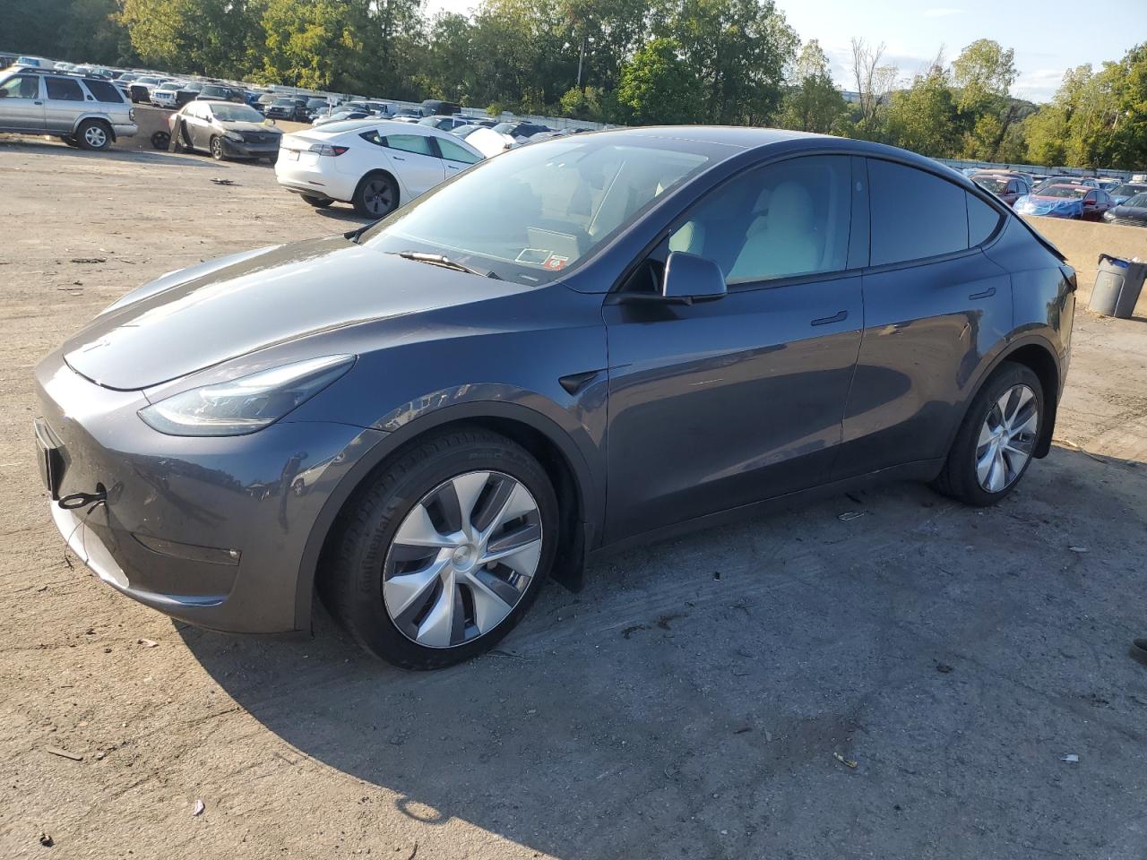 7SAYGAEE2PF868962 2023 TESLA MODEL Y - Image 1