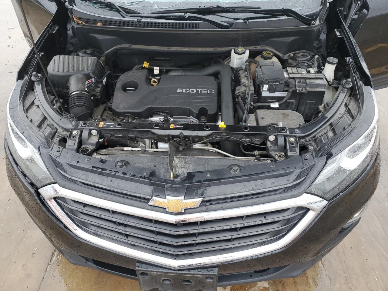 2GNAXKEV4K6131935 2019 Chevrolet Equinox Lt