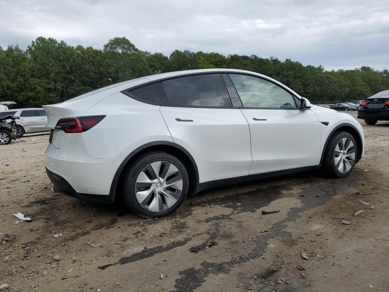 VIN 5YJYGDEE4MF085569 2021 TESLA MODEL Y no.3