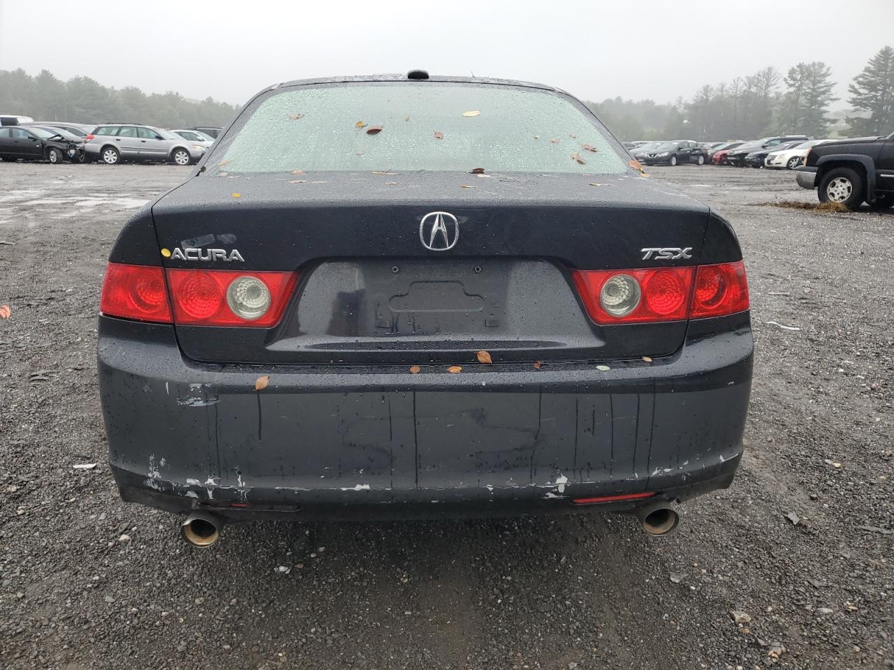 JH4CL96828C000113 2008 Acura Tsx