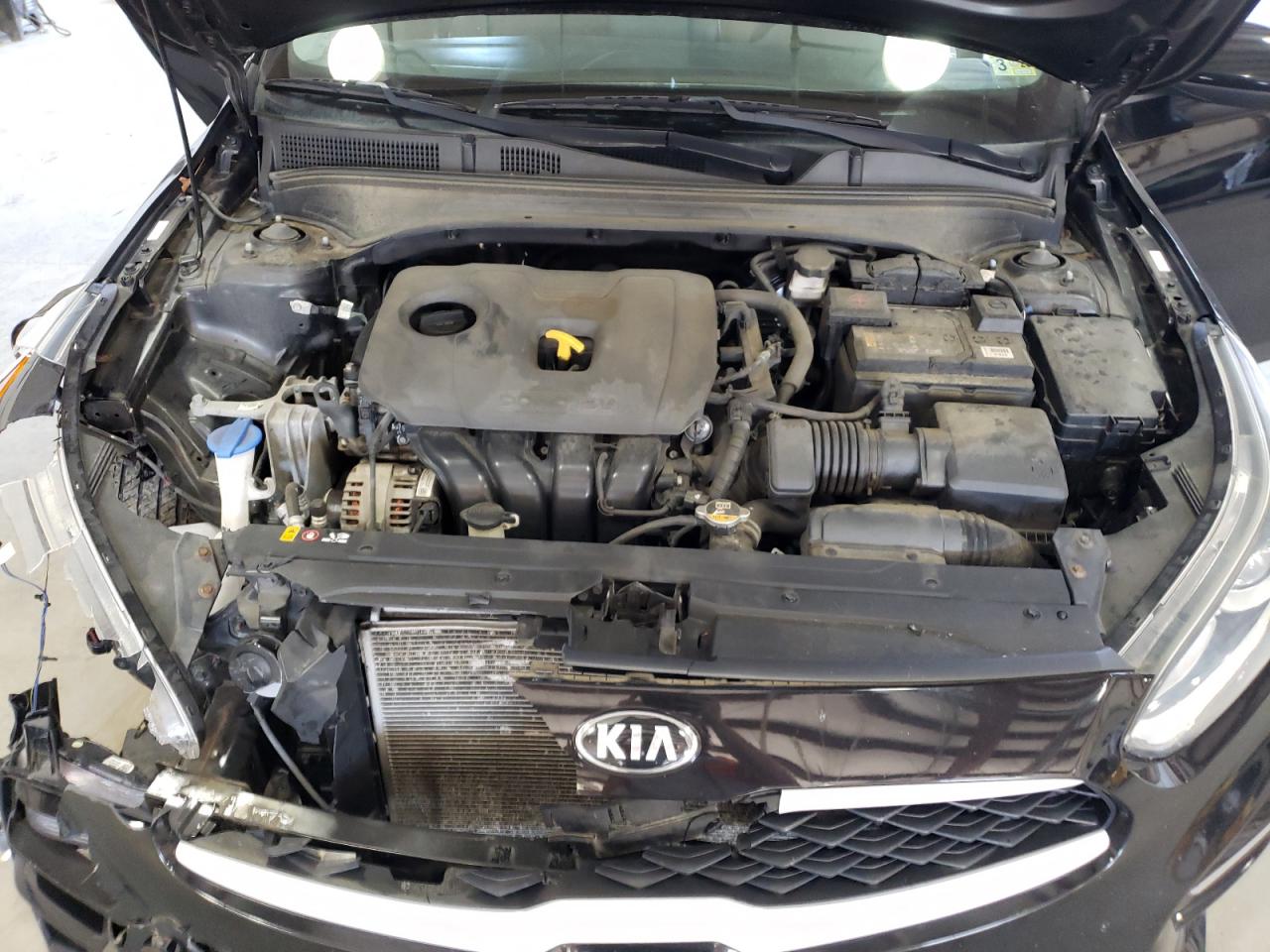 2019 Kia Forte Fe VIN: 3KPF24ADXKE045695 Lot: 72497064