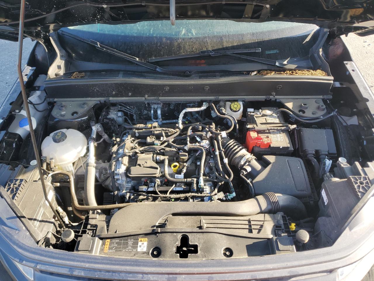 Auction sale of the 2024 FORD BRONCO , vin: 3FMCR9B67RRE48916, lot number: 68291864