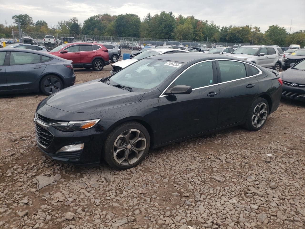 1G1ZG5ST5KF201652 2019 CHEVROLET MALIBU - Image 1