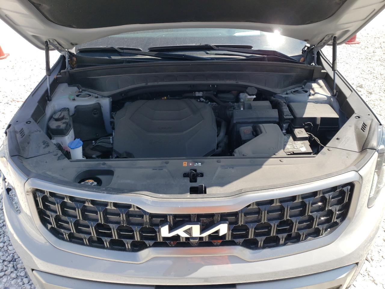 5XYP5DGC5PG395952 2023 Kia Telluride Sx