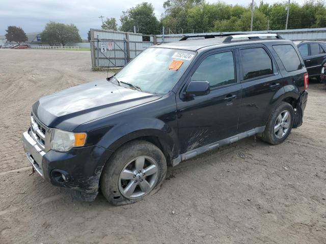 2009 Ford Escape Limited