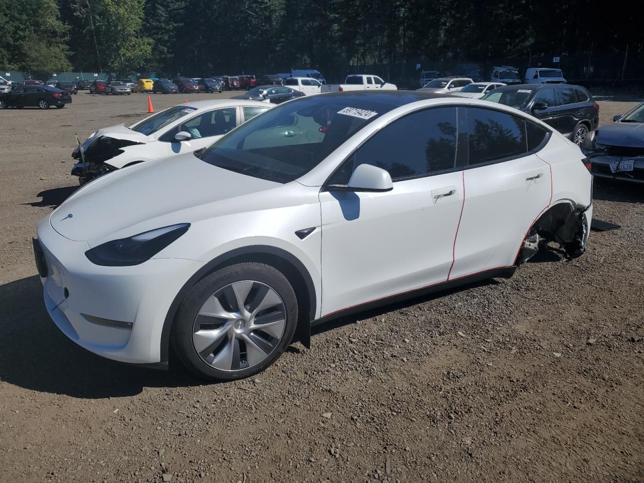 2024 Tesla Model Y VIN: 7SAYGDEE5RF047147 Lot: 69719424