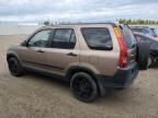 2002 Honda Cr-V Ex на продаже в Nisku, AB - Side