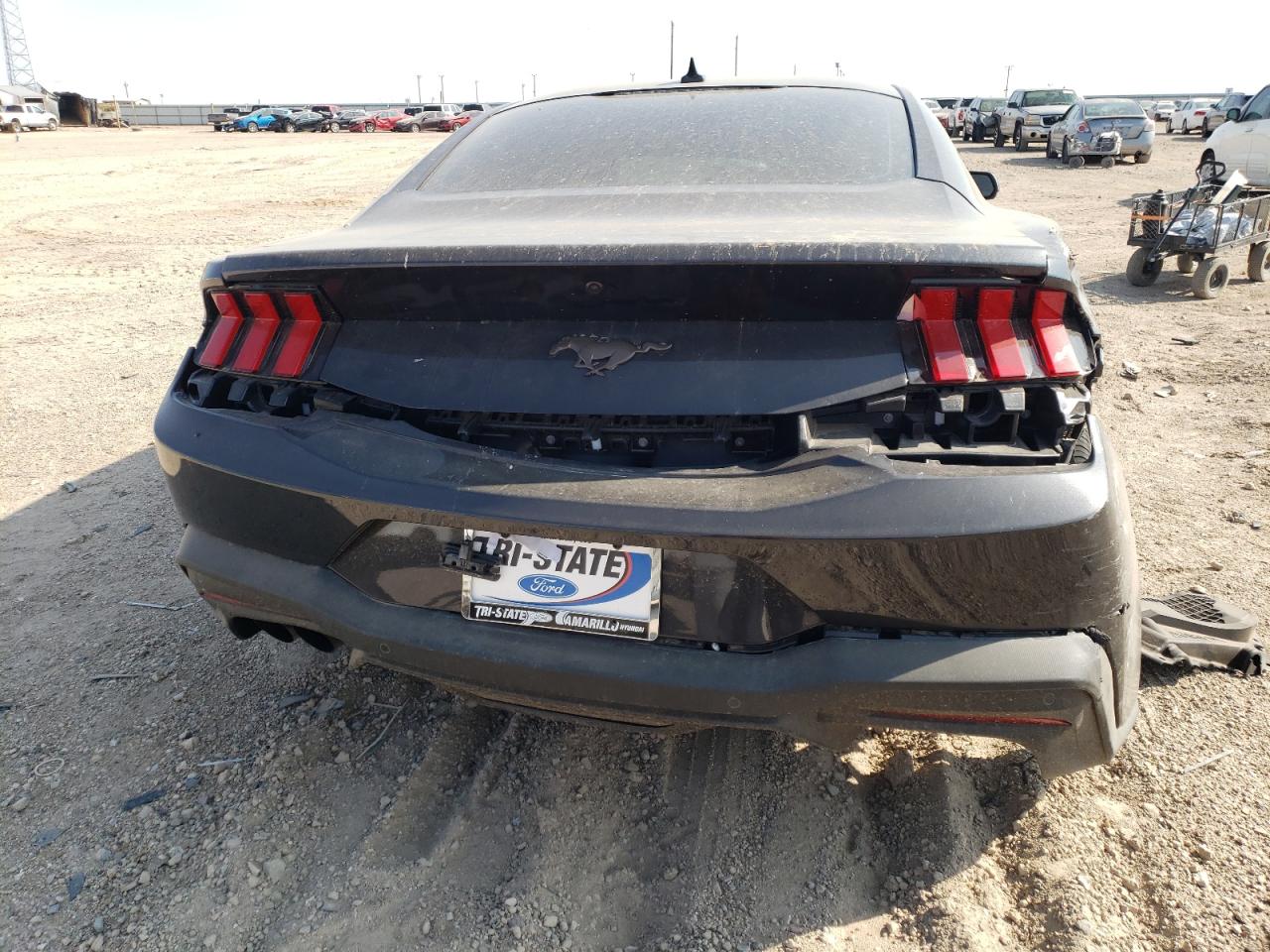 2024 Ford Mustang VIN: 1FA6P8TH5R5136684 Lot: 71395704