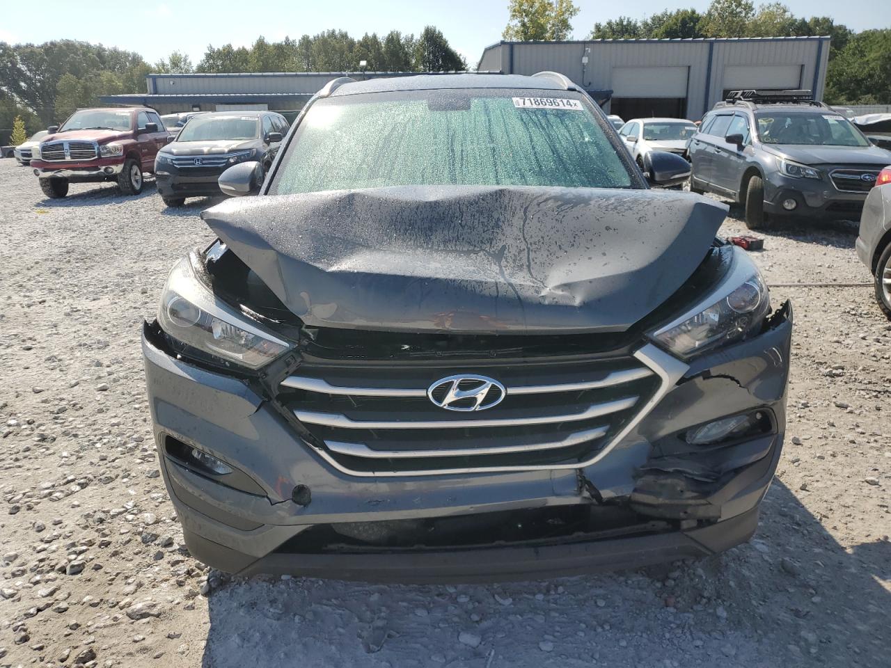 2017 Hyundai Tucson Limited VIN: KM8J33A49HU404607 Lot: 71869614