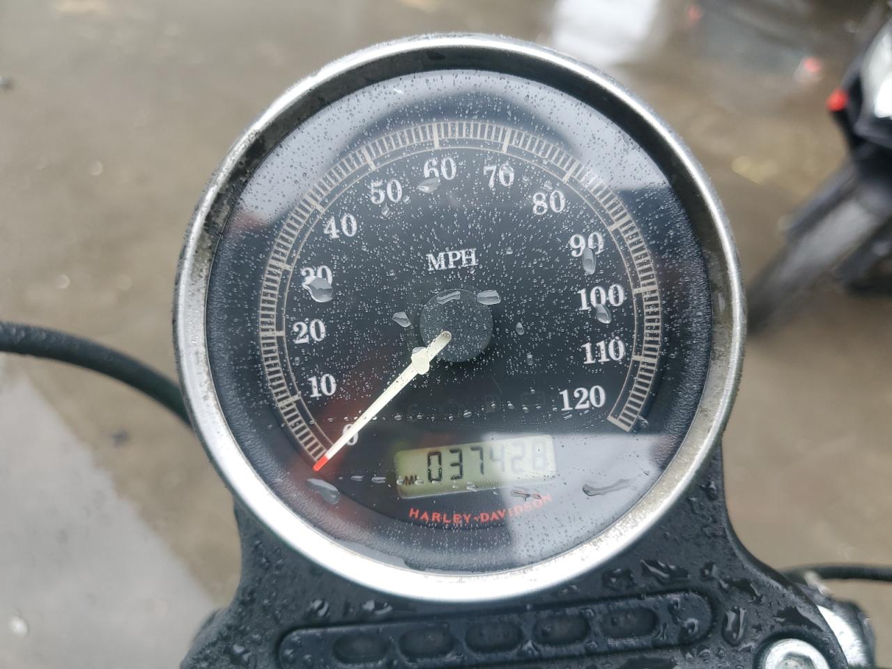 2009 Harley-Davidson Xl1200 N VIN: 1HD1CZ3119K455685 Lot: 72696374