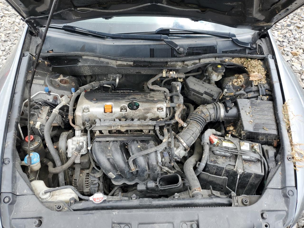 1HGCP2F48AA138204 2010 Honda Accord Lxp