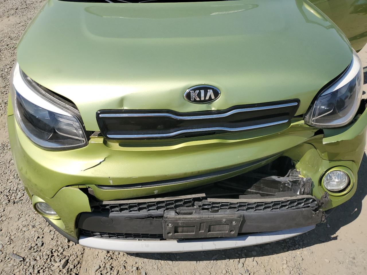 KNDJP3A59K7919176 2019 Kia Soul +