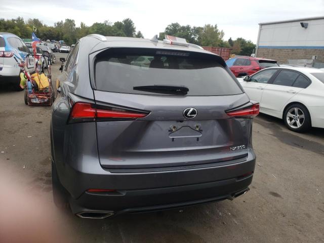 JTJDARDZ1M2253671 Lexus NX 300 BAS 6