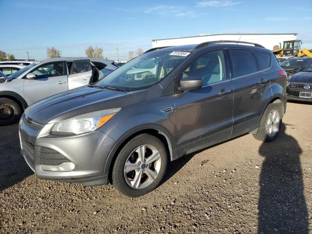 2014 Ford Escape Se продається в Rocky View County, AB - Hail