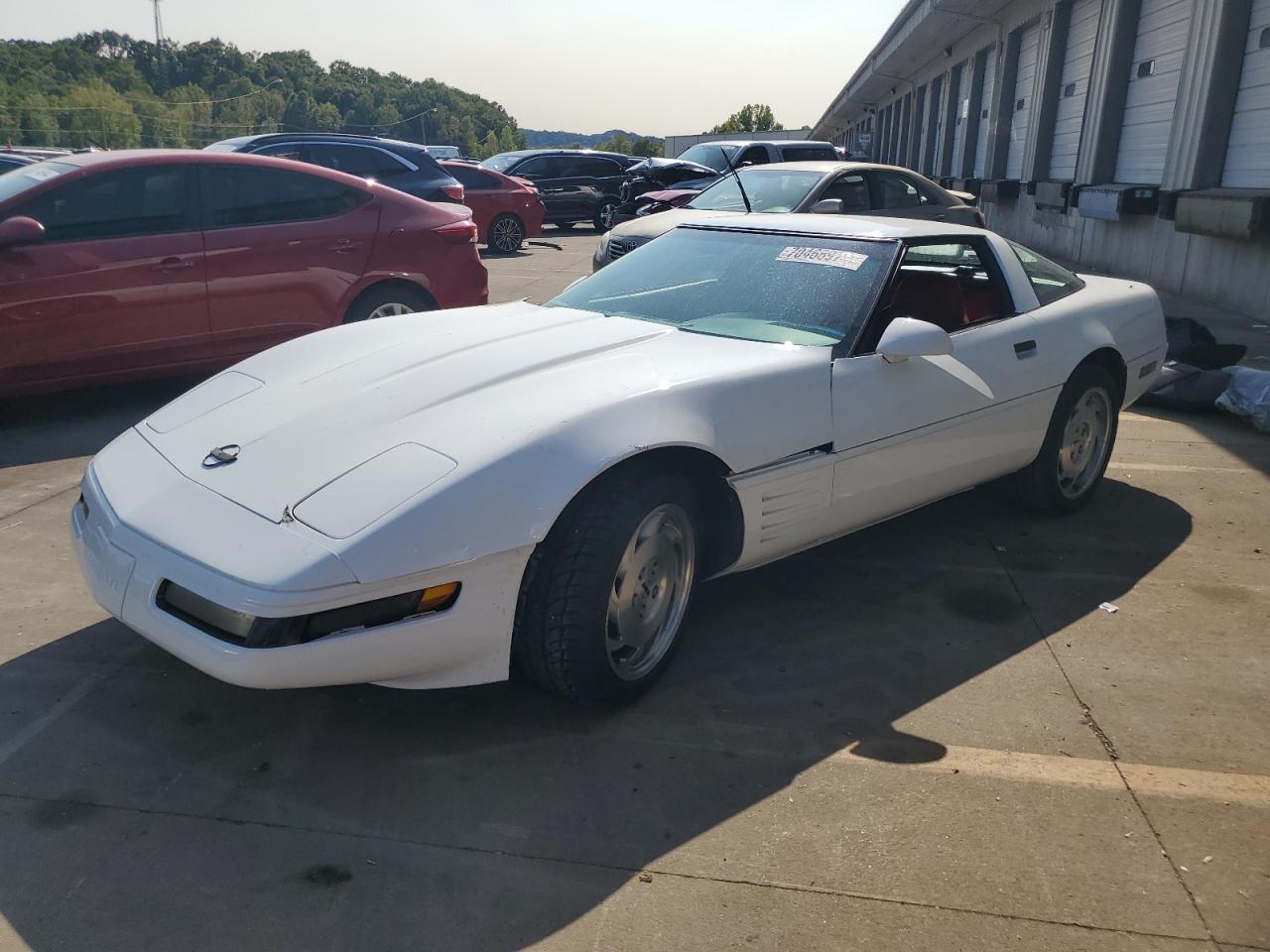 1994 Chevrolet Corvette на продаже в Louisville, KY - Front End