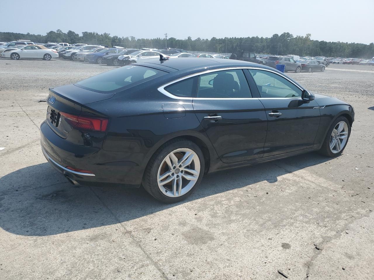 2019 Audi A5 Premium VIN: WAUANCF56KA093031 Lot: 70891304