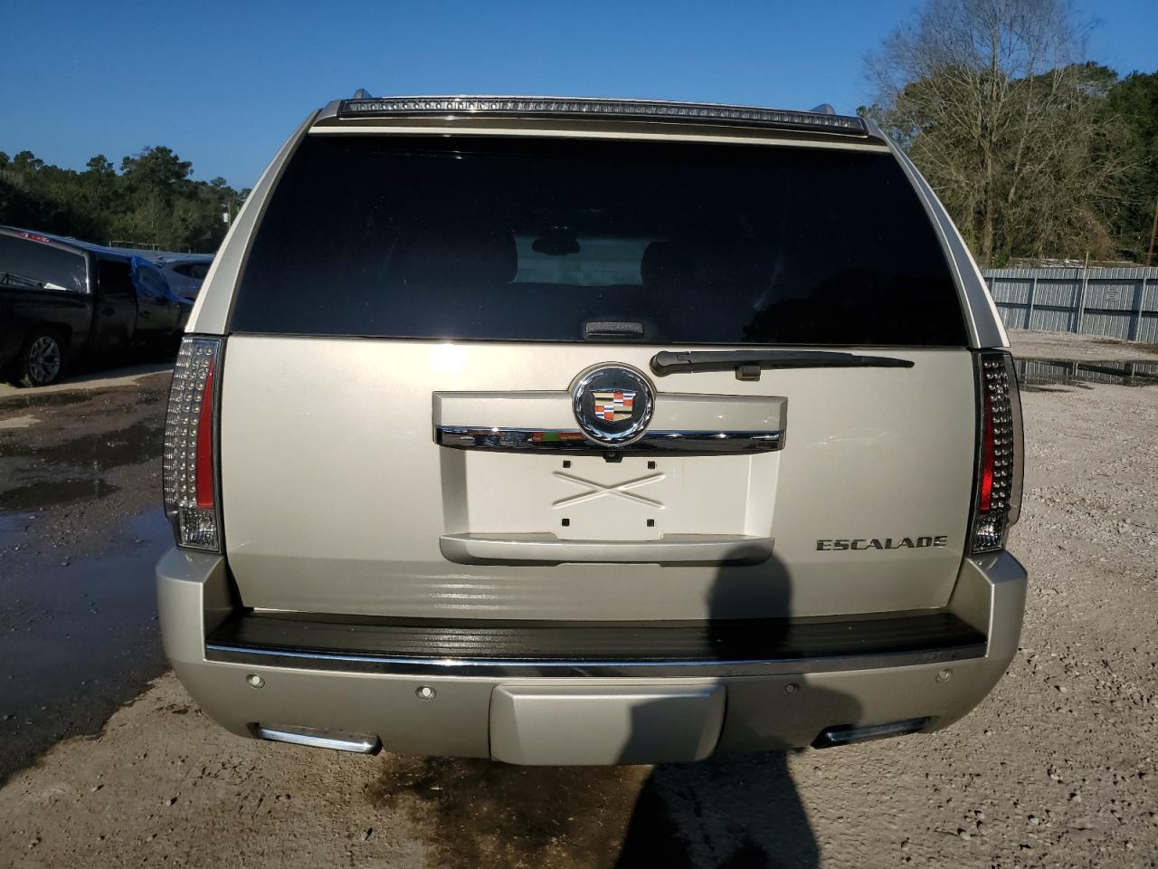 1GYS4CEF5DR264063 2013 Cadillac Escalade Premium