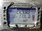 2024 POLARIS INDY for sale at Copart NY - ALBANY