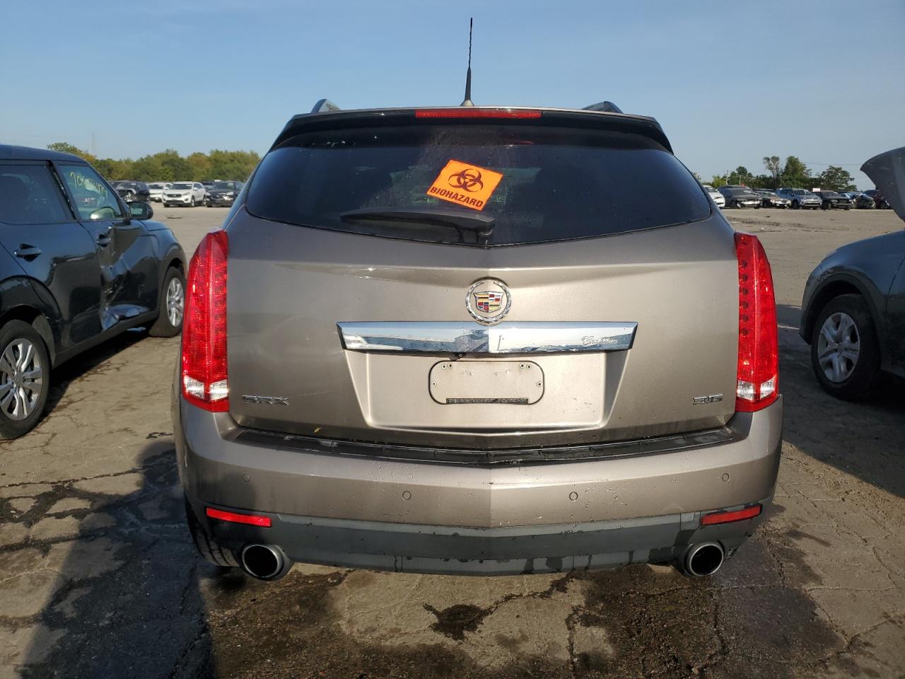 2012 Cadillac Srx Luxury Collection VIN: 3GYFNAE31CS512703 Lot: 71290254