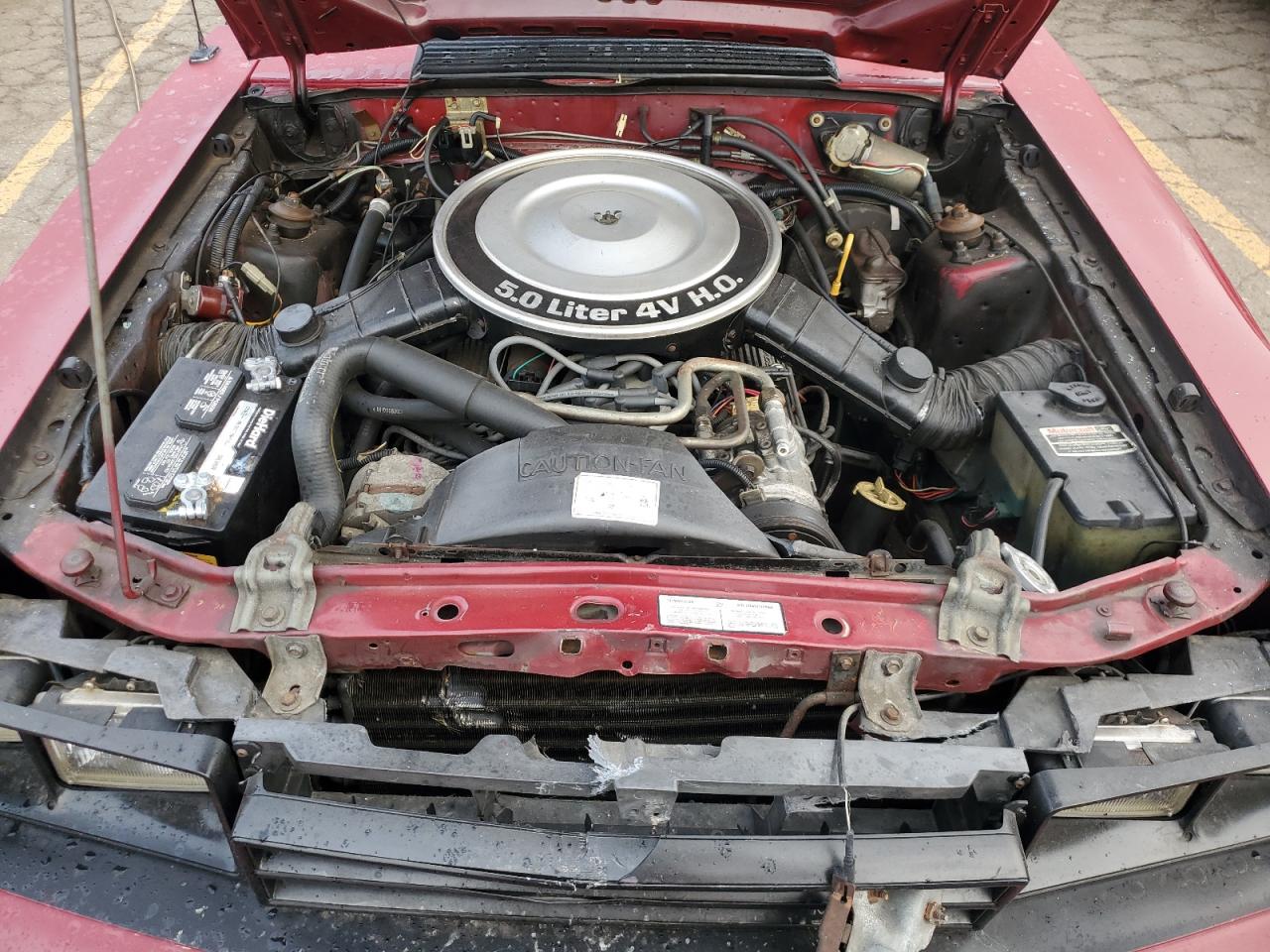 1983 Mercury Capri VIN: 1MEBP79F0DF614469 Lot: 70801024