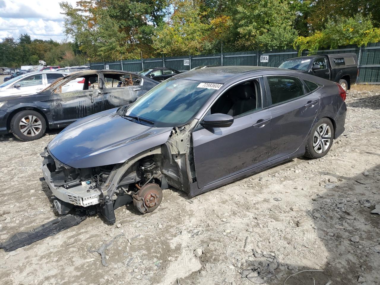 2017 Honda Civic Lx VIN: 2HGFC2F56HH548156 Lot: 72993604