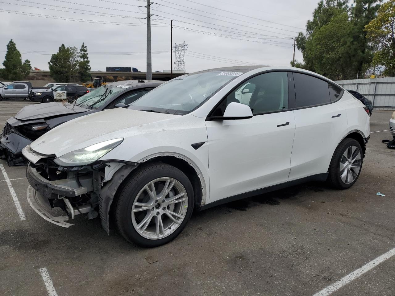 5YJYGDEE8MF242150 2021 TESLA MODEL Y - Image 1