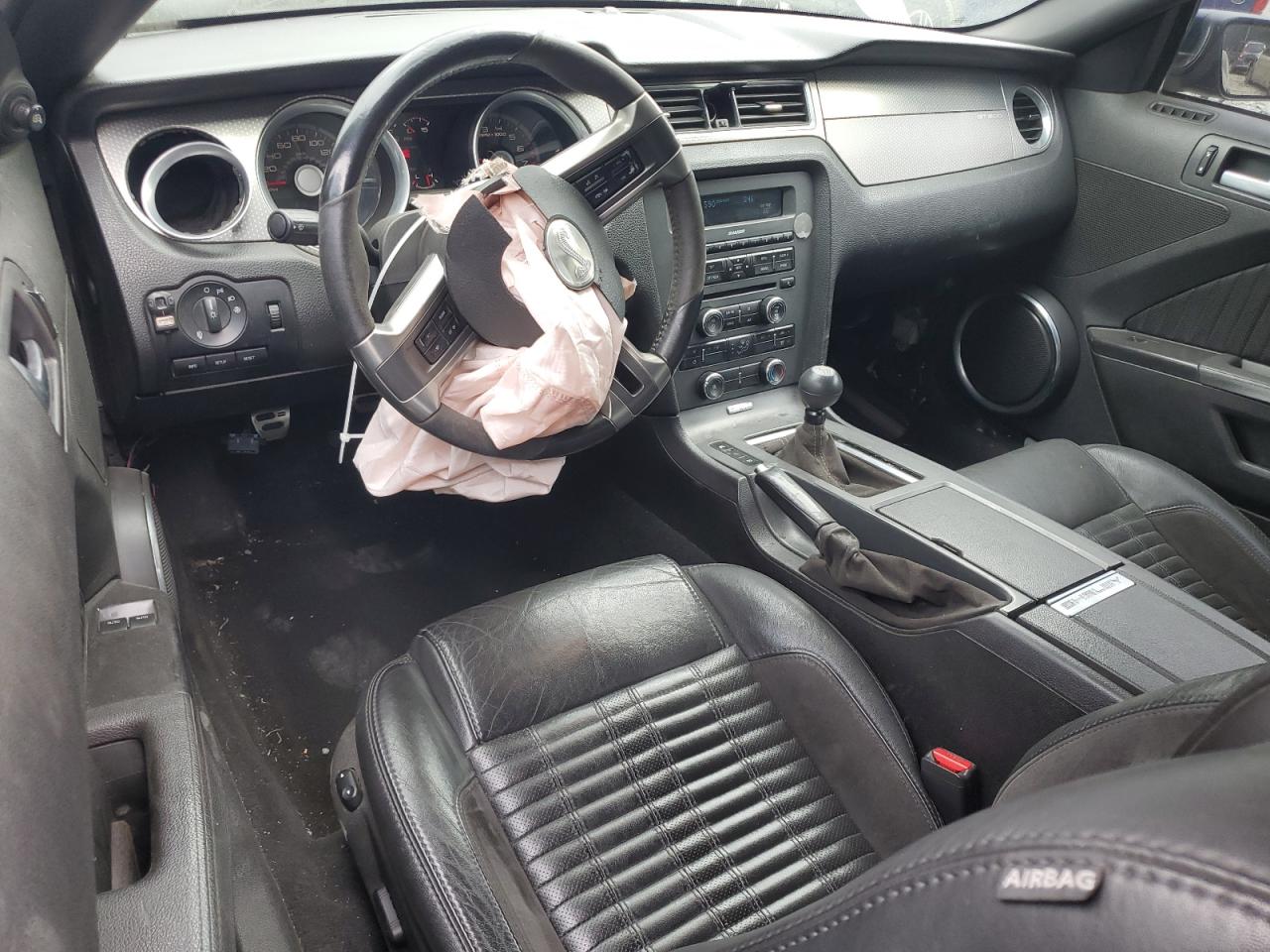 2010 Ford Mustang Shelby Gt500 VIN: 1ZVBP8JSXA5160875 Lot: 71215014