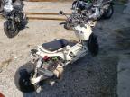 2006 HONDA RUCKUS a la Venta en Copart VA - HAMPTON