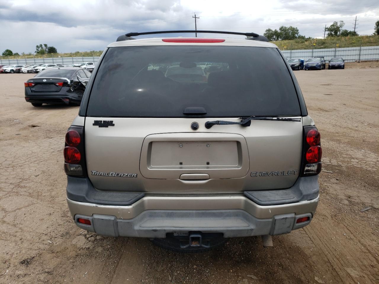 2002 Chevrolet Trailblazer VIN: 1GNDT13S022479417 Lot: 71882884