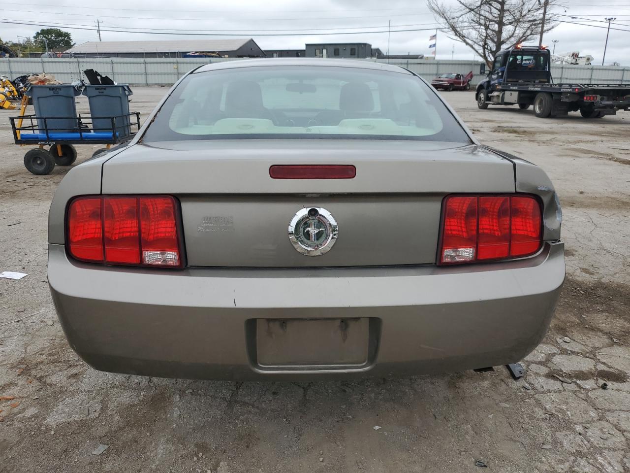 2005 Ford Mustang VIN: 1ZVFT80N655123563 Lot: 73223904