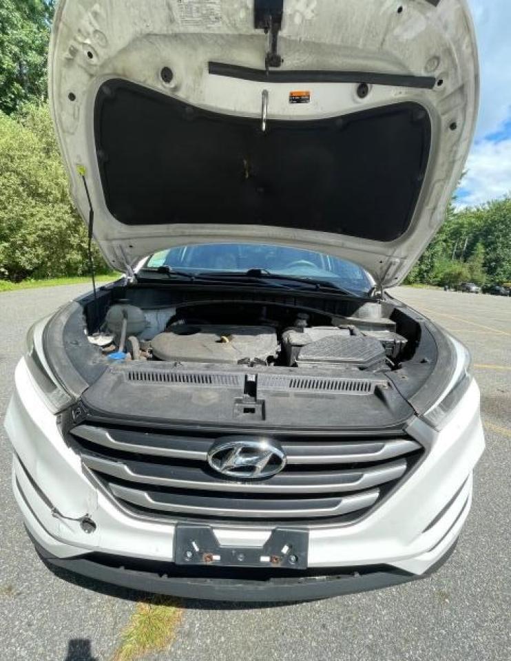 KM8J3CA49HU529011 2017 Hyundai Tucson Limited