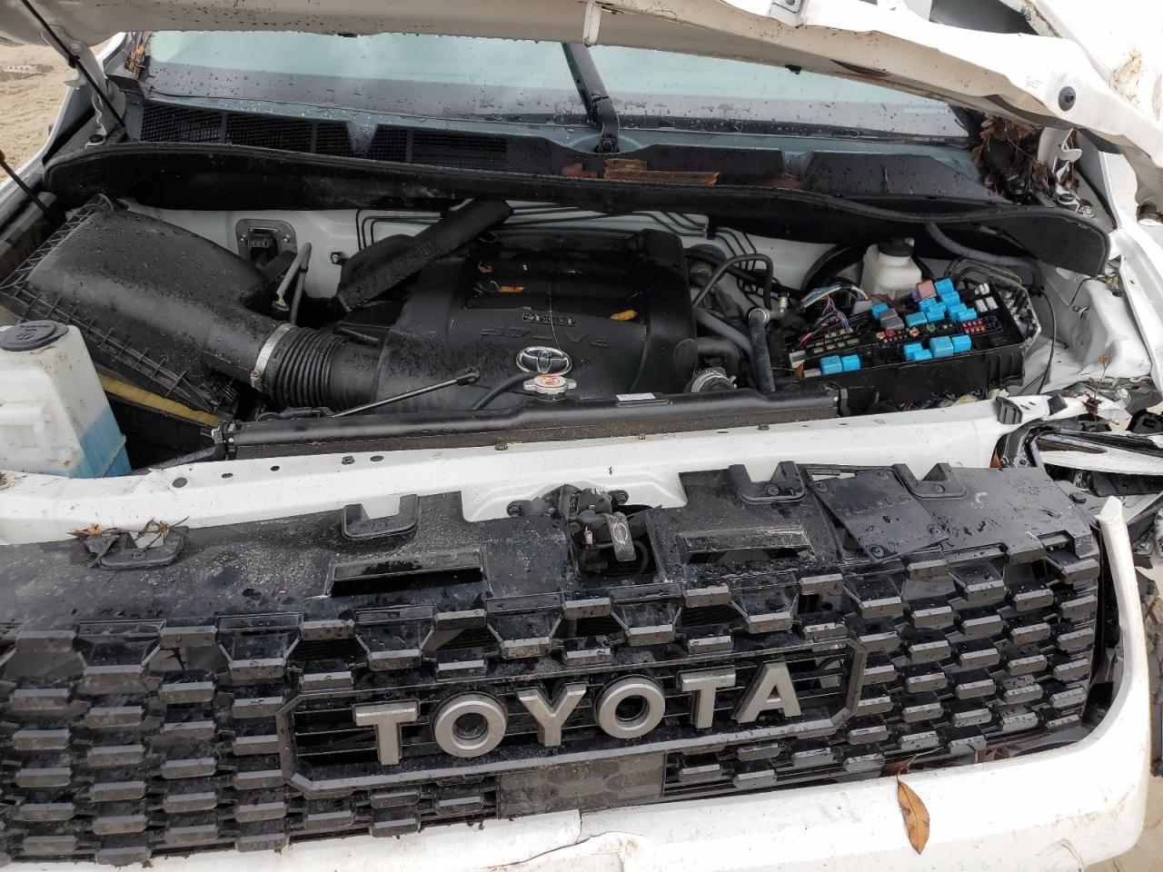 5TFDY5F12KX827113 2019 Toyota Tundra Crewmax Sr5