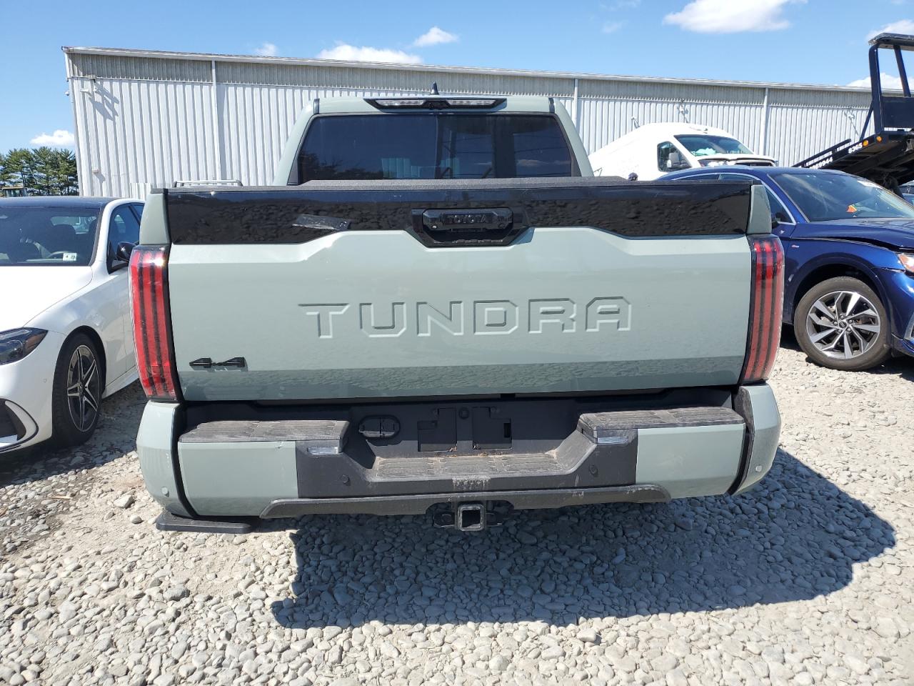 2024 Toyota Tundra Crewmax Platinum VIN: 5TFNA5DB1RX154619 Lot: 70573434