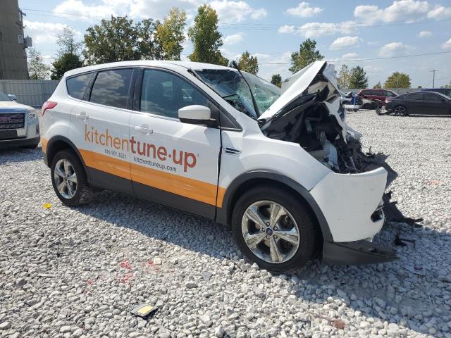  FORD ESCAPE 2016 Белый