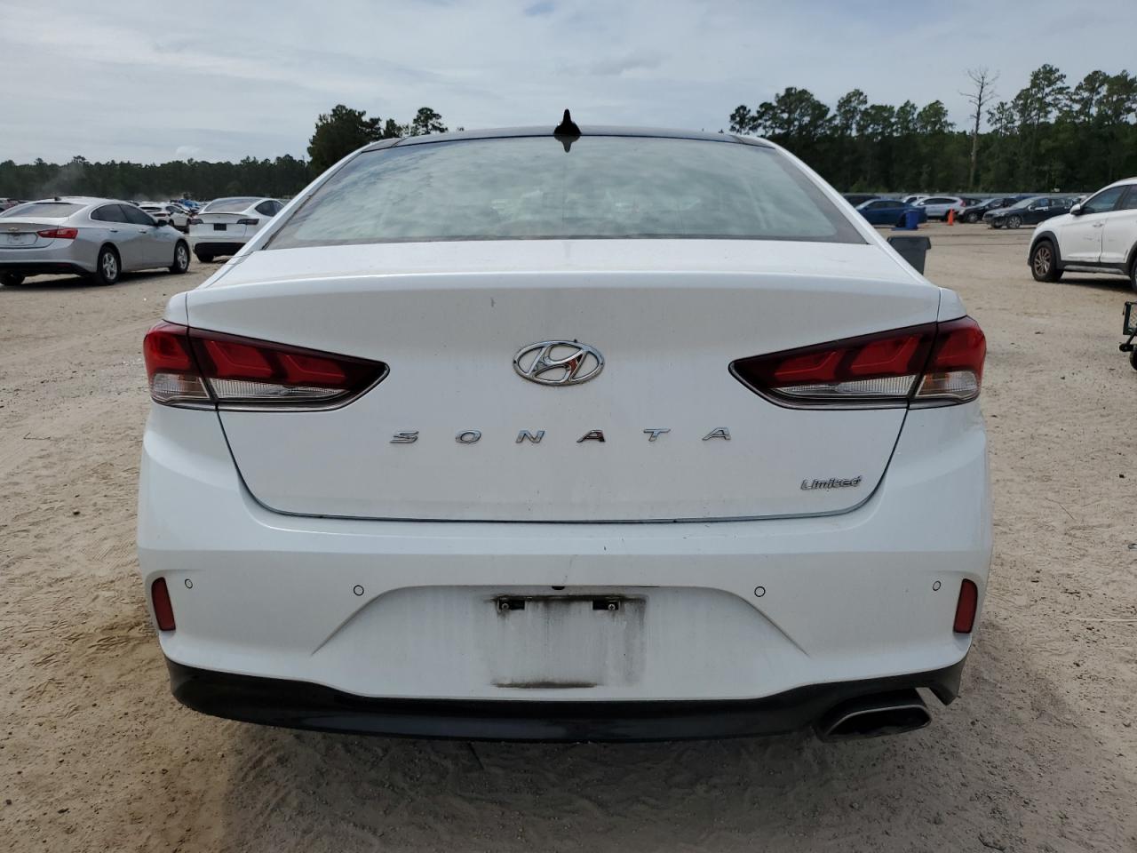 5NPE34AF6KH736776 2019 Hyundai Sonata Limited