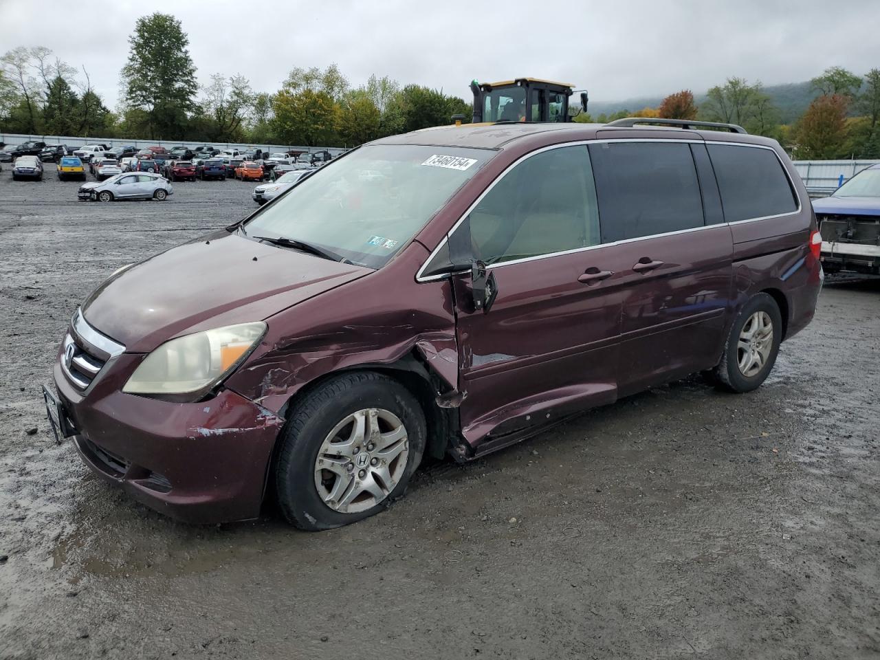 2007 Honda Odyssey Ex VIN: 5FNRL38407B071511 Lot: 73460154