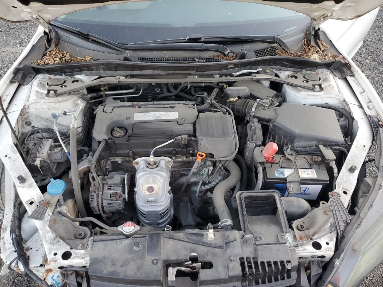 1HGCR2F86FA174218 2015 Honda Accord Exl