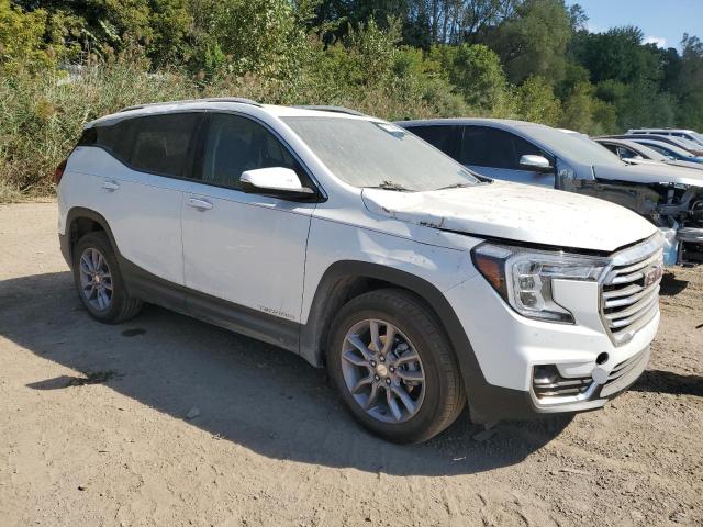 3GKALPEG3PL111492 GMC Terrain SL 4