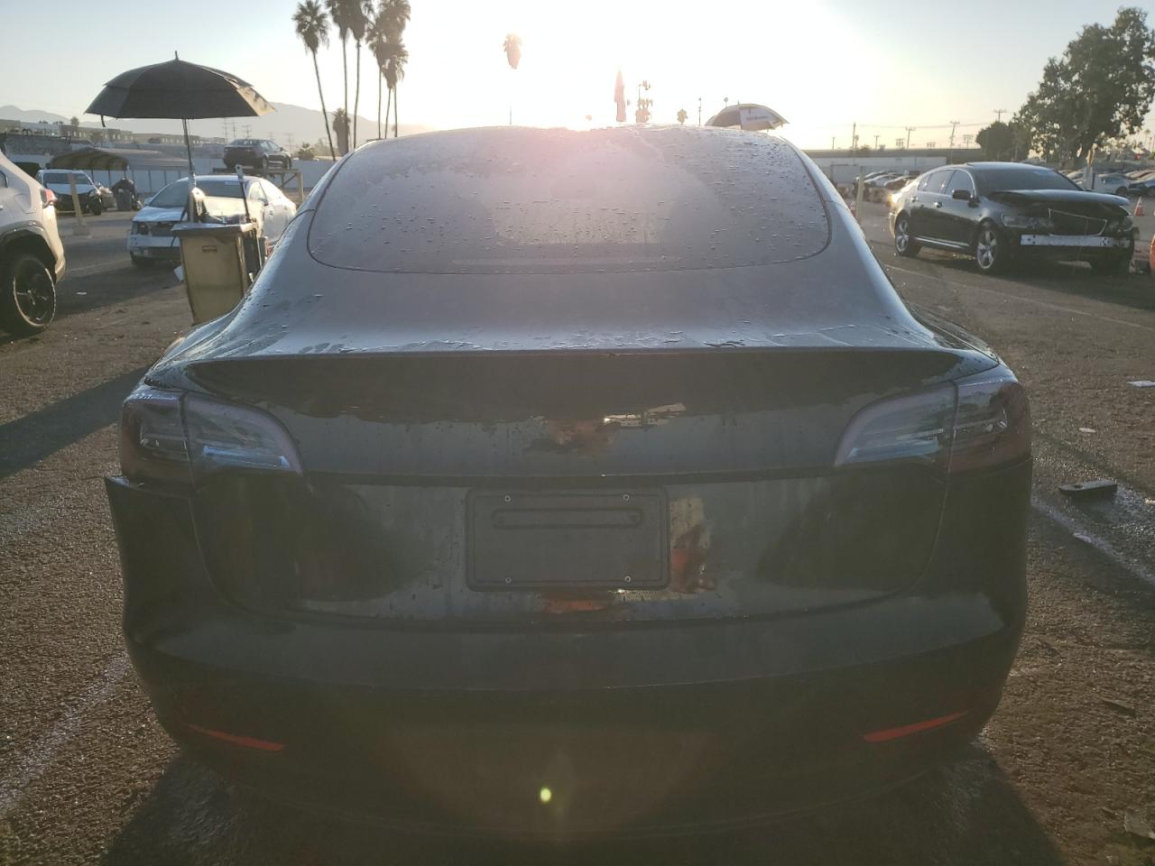 2023 Tesla Model 3 VIN: 5YJ3E1EA9PF567504 Lot: 69264574