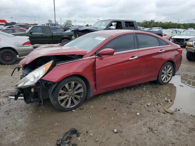 Sedans HYUNDAI SONATA 2012 Czerwony