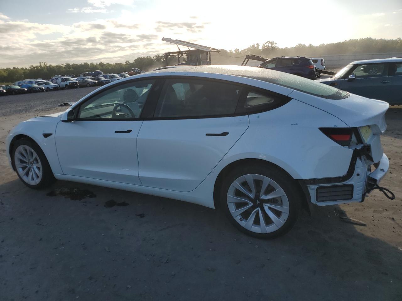 5YJ3E1EA8PF449783 2023 TESLA MODEL 3 - Image 2