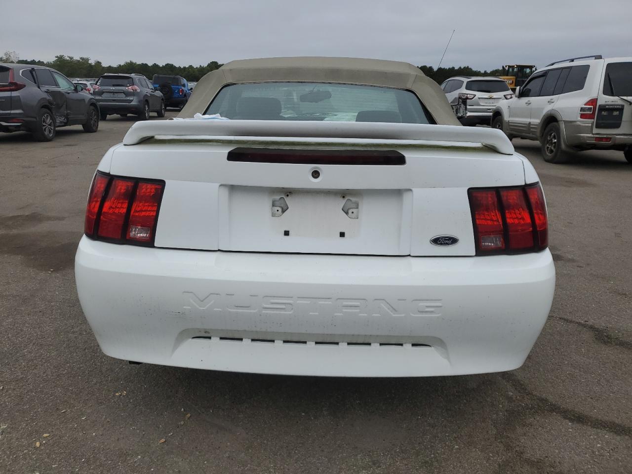 2000 Ford Mustang VIN: 1FAFP4441YF224080 Lot: 71417184