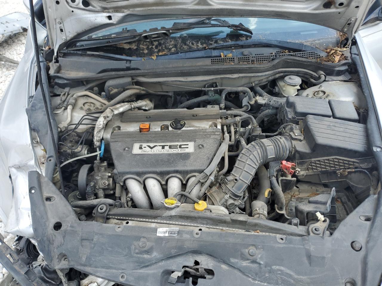 2006 Honda Accord Se VIN: 1HGCM56326A089557 Lot: 71989434