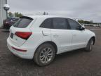 2013 AUDI Q5 PREMIUM PLUS à vendre chez Copart ON - TORONTO