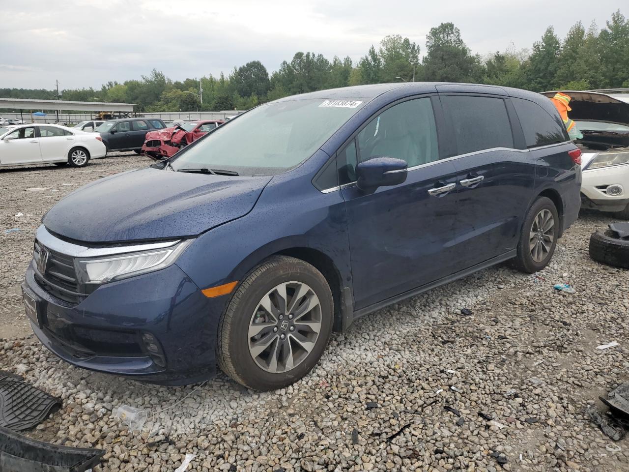 5FNRL6H60RB041317 2024 HONDA ODYSSEY - Image 1