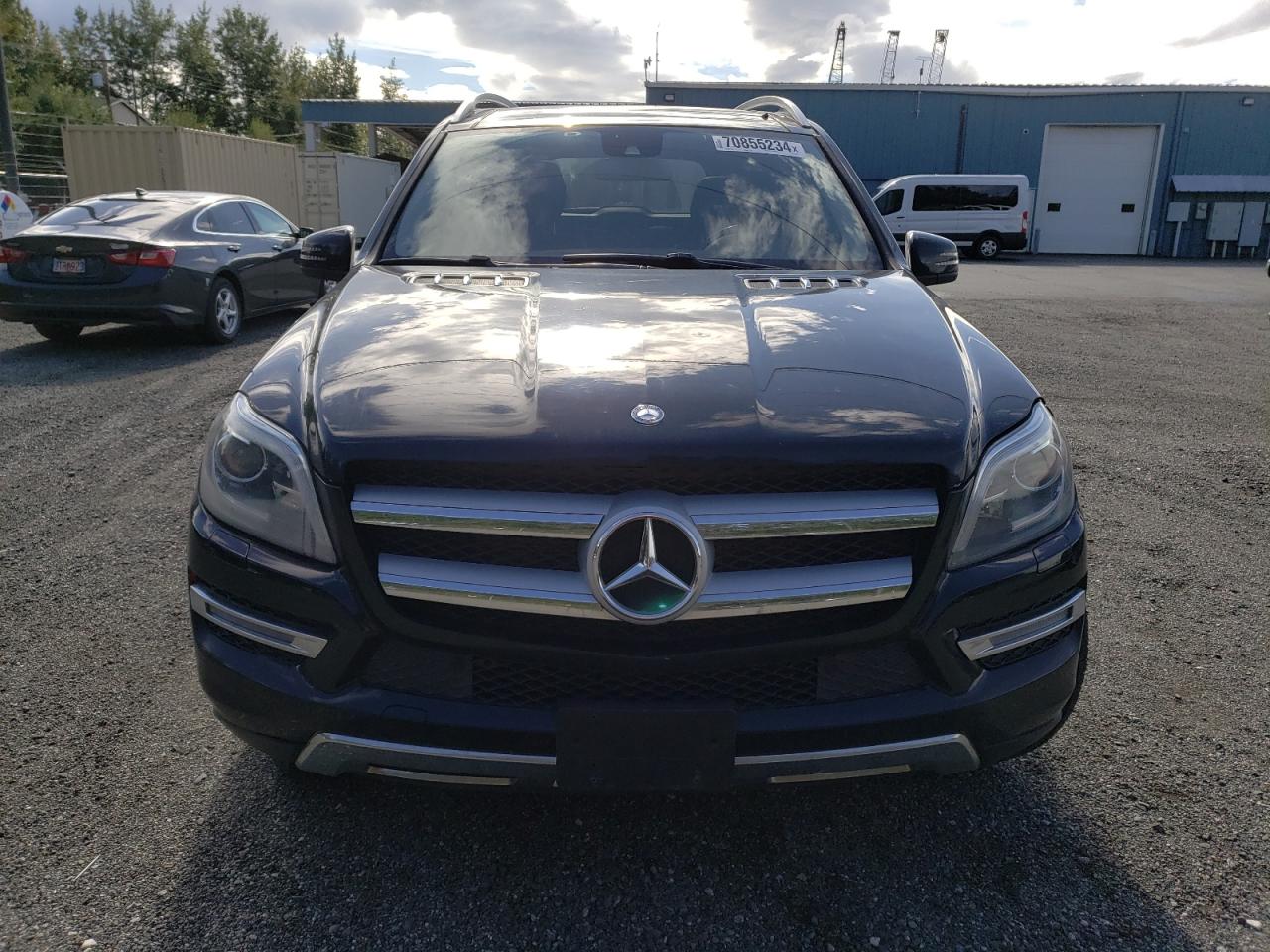2013 Mercedes-Benz Gl 450 4Matic VIN: 4JGDF7CE8DA169033 Lot: 70855234