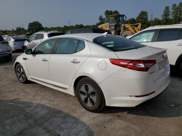 Седаны KIA OPTIMA 2013 Белы